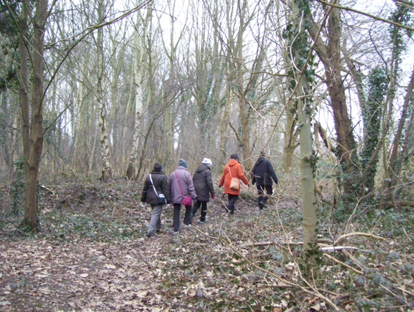 Wandeling in Katelijne - 19 februari 2015