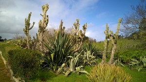 Floriana - Botanische tuin