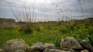 Wandeling Qrendi-Mqabba-Zurrieq