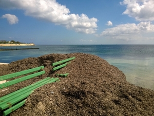 Wandeling Marsaskala - Marsaxlokk-024