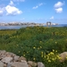 Wandeling Marsaskala - Marsaxlokk-033