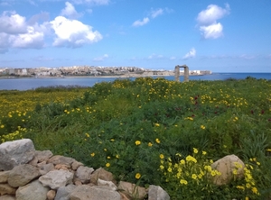 Wandeling Marsaskala - Marsaxlokk-033