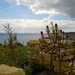Wandeling Marsaskala - Marsaxlokk-052