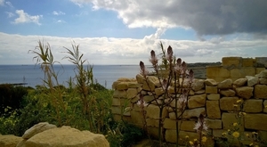 Wandeling Marsaskala - Marsaxlokk-052