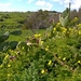 Wandeling Marsaskala - Marsaxlokk-057