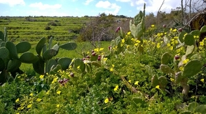 Wandeling Marsaskala - Marsaxlokk-057