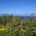 Wandeling Marsaskala - Smart City-005