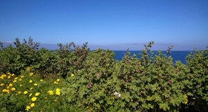 Wandeling Marsaskala - Smart City-005