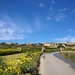 Wandeling Mdina - Siggiewi-008