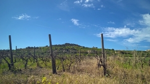 Wandeling Mdina - Siggiewi-011