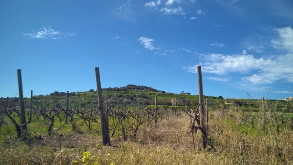 Wandeling Mdina - Siggiewi-011