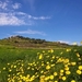 Wandeling Mdina - Siggiewi-015