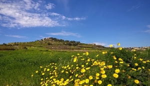 Wandeling Mdina - Siggiewi-015