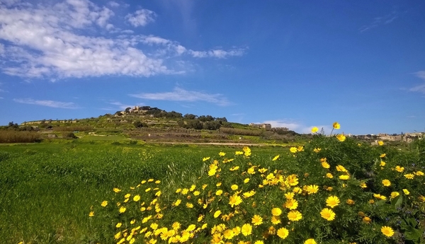 Wandeling Mdina - Siggiewi-015
