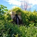 Wandeling Mdina - Siggiewi-017