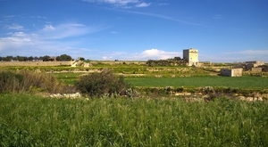 Wandeling Mdina - Siggiewi-018