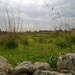 Wandeling Qrendi-Mqabba-Zurrieq-007