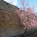 Attard St. Anton's Gardens-016
