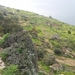 Dingli Cliffs-003 (2)