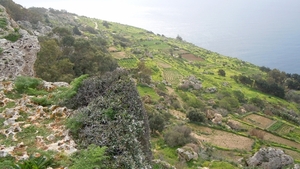 Dingli Cliffs-003 (2)