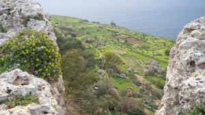 Dingli Cliffs-006 (2)