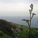 Dingli Cliffs-009