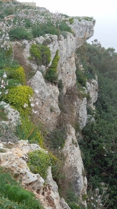 Dingli Cliffs-010