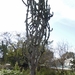 Floriana-009