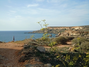 Golden Bay-001