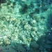Gozo-005 (2)