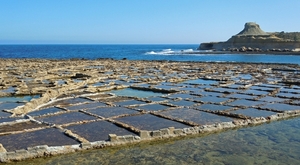 Gozo-017 (2)