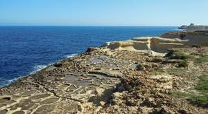Gozo-018 (2)
