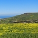 Gozo-024 (2)