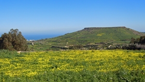 Gozo-024 (2)
