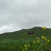 Gozo-036