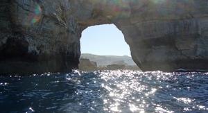 Gozo-041 (2)