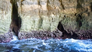 Gozo-047