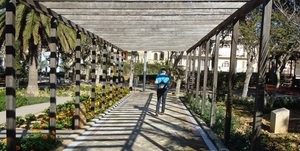 Gozo-062