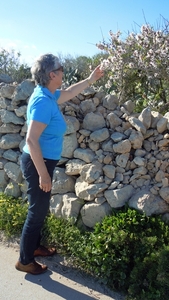 Gozo-065