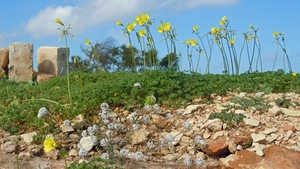 Kalkara Fort Rinella-001