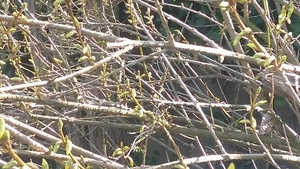 2015-03-17 14.59.55