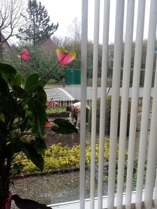 2015-03-25 10.58.53