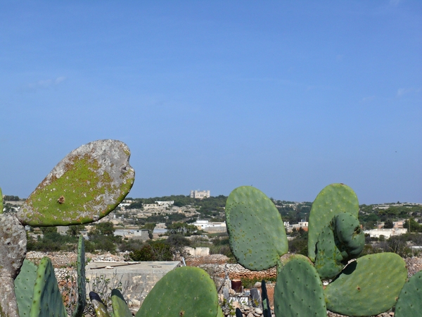 Dingli Cliffs-003