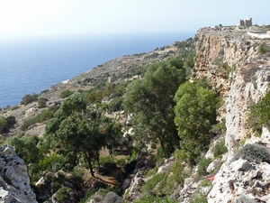 Dingli Cliffs-005