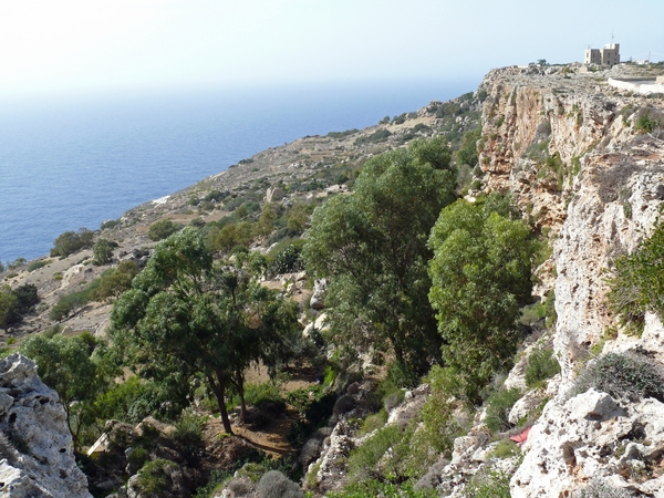 Dingli Cliffs-005