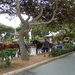 Mdina-006