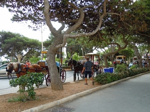 Mdina-006