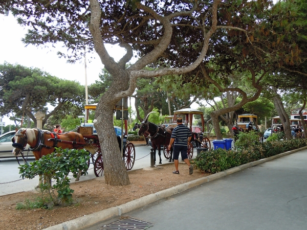 Mdina-006