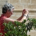 Mdina-025