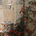 Mdina-027